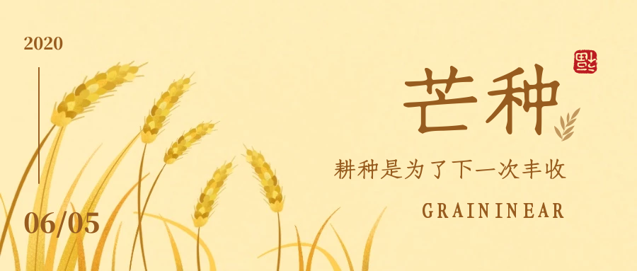 时雨及芒种，四野皆插秧