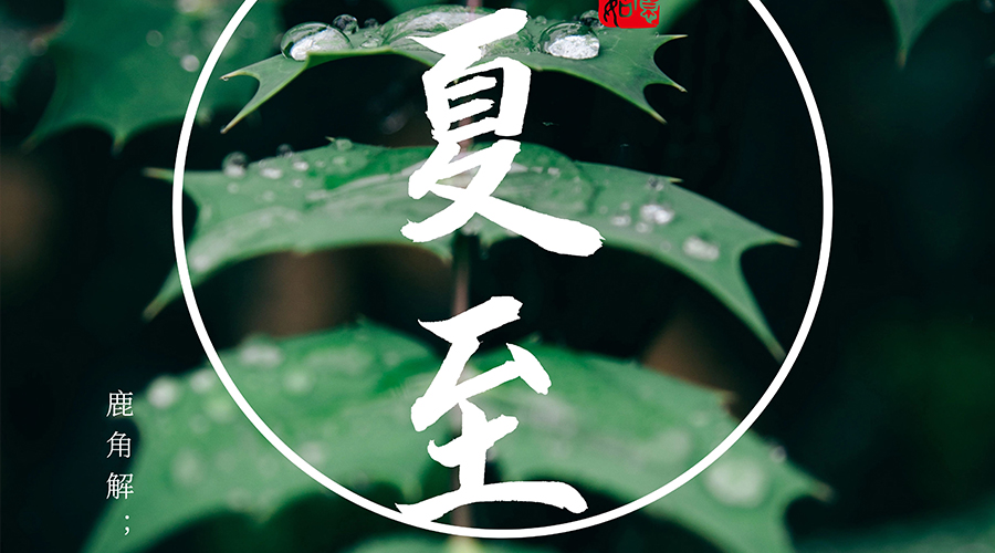 最长的白昼，遇见天长地久